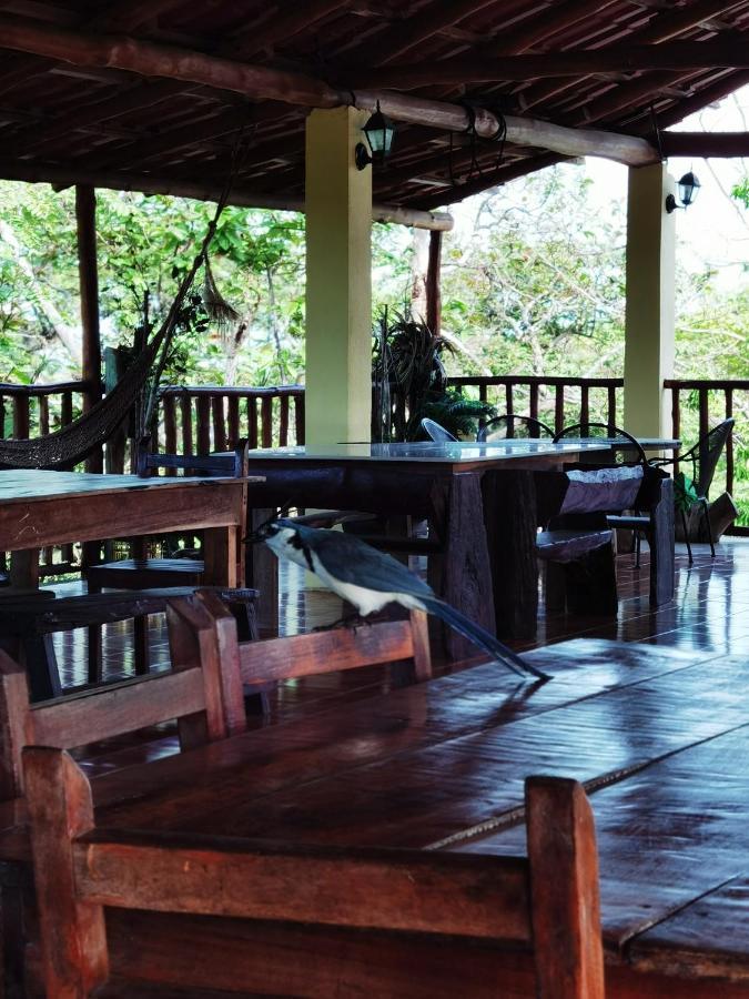 Hotel Georgi Cr Veintisiete de Abril Ngoại thất bức ảnh