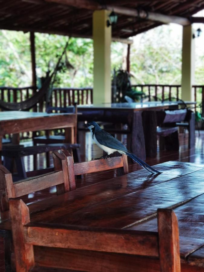 Hotel Georgi Cr Veintisiete de Abril Ngoại thất bức ảnh
