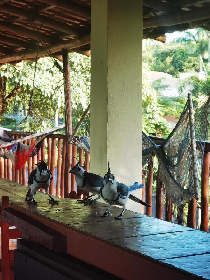 Hotel Georgi Cr Veintisiete de Abril Ngoại thất bức ảnh
